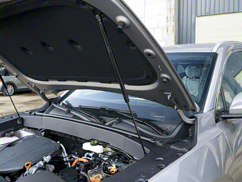 2025�� EM-i 115km Զ����