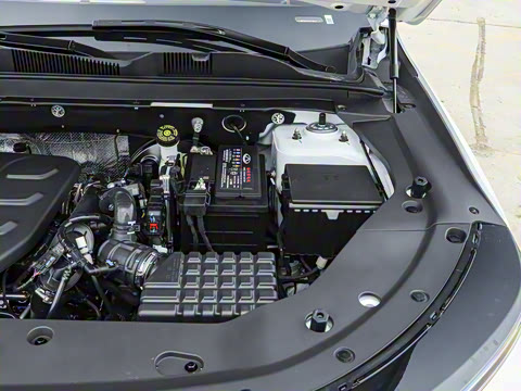 2025�� 1.5T ������ 5��