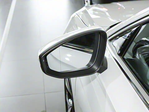 2025�� Pro 300TSI ��ҫ��