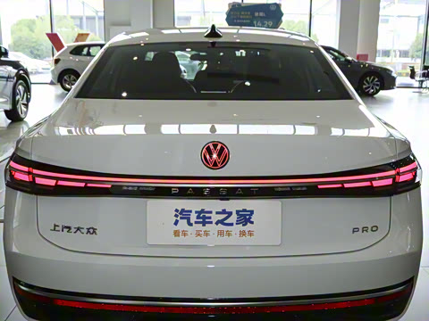 2025�� Pro 300TSI ��ҫ��