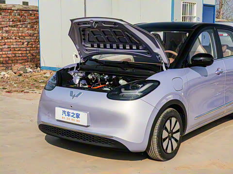 2025�� 333km ��Ϭ������