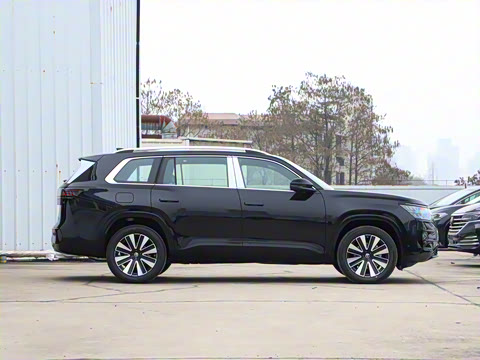 2025�� ;�� Pro 450TSI �����ݺ��