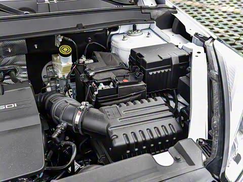 2024�� ������ 290TGDI �Զ����+�� 5��