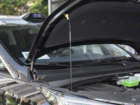 2025�� Ǭ��ϵ�� Max ������