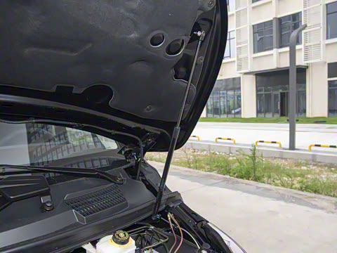 2024�� V 300 ����