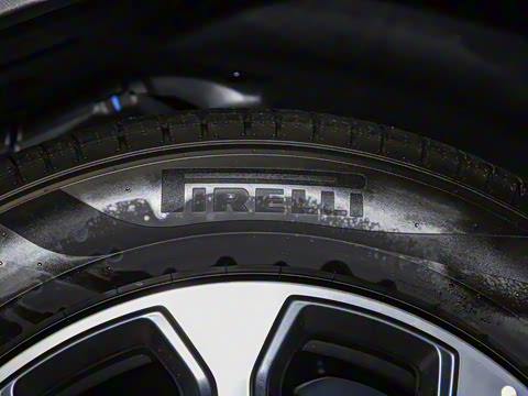 2024�� ����������