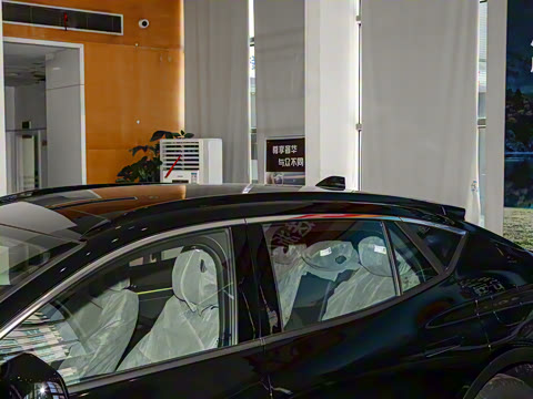 2024�� 2.0T E-�춯�˶���