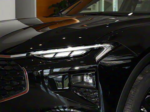 2024�� 2.0T E-�춯�˶���