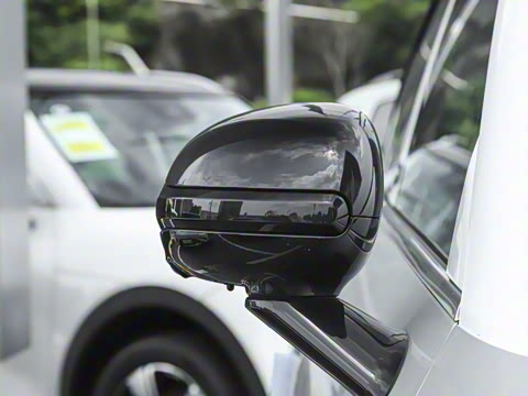 2026�� �鶯��������