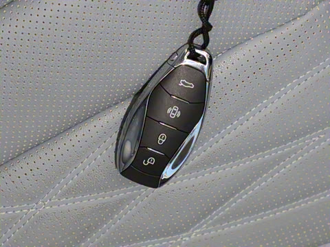 2024�� 2.0T PHEV ��������� 6��