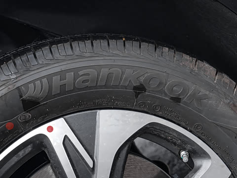 2024�� ���� ��������ԭ�� ����