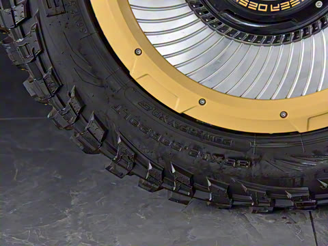 2024�� ��������ս��Max