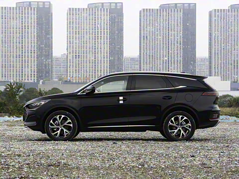 2025�� DM-i 115KM �����콢��