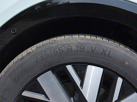 2025�� �������Ǽݰ�