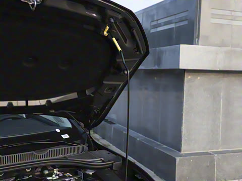 2025�� �Ŀ��� 300TSI DSG��Խ��