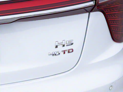 2025�� 2.0T �Զ������