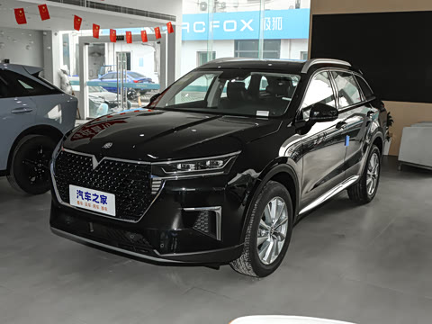 2023�� 260T �����³ɰ� Pro