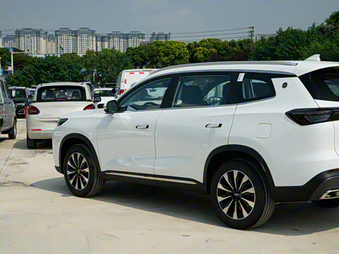 2025�� 290TGDI DCT������ 