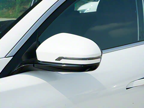 2025�� 290TGDI DCT������ 