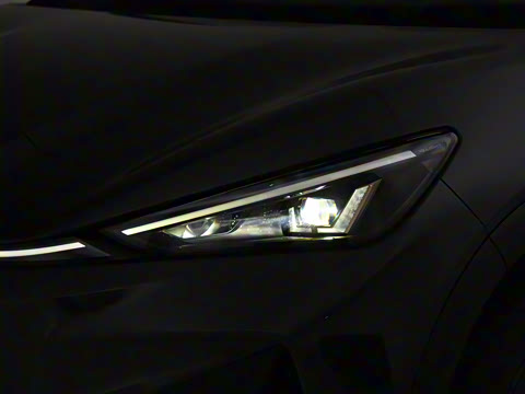 2024�� Max �����ܰ�