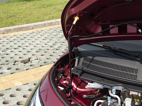 2025�� 330��ҫ��