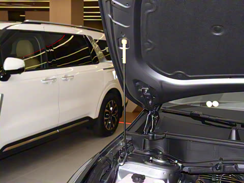 2025�� 1.5T ����������