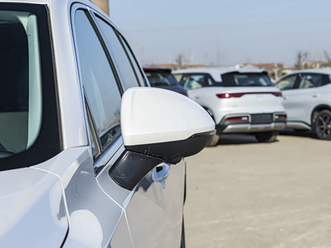 2025�� ������Plus 28T �����׽��