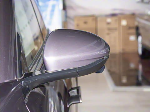 2024�� 555������