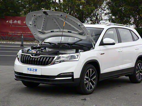 2025�� 1.5L �Զ�������