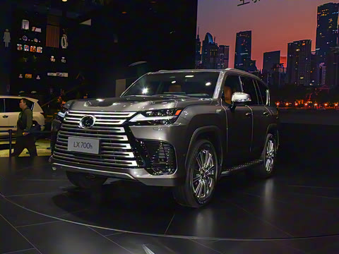 2025�� 700h VIP������