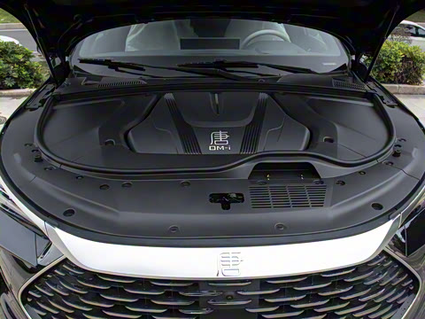 2025�� DM-i 115KM �콢��