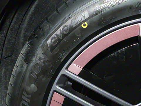 2025�� ��������������