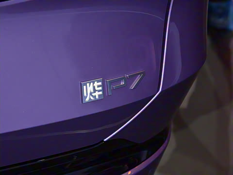 2025�� ����������Max