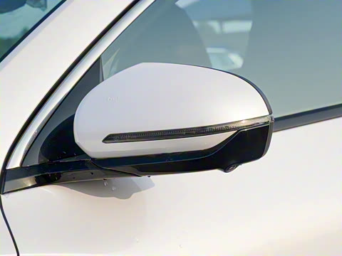 2025�� DM-i 115KM�콢��