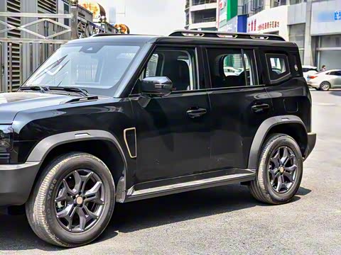 2025�� 2.0TD DCT XWD��Խ