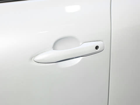 2024�� 2.5L���ܵ��˫�� ��������PLUS��