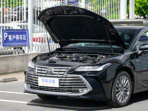 2024�� ˫�� 2.0L ������