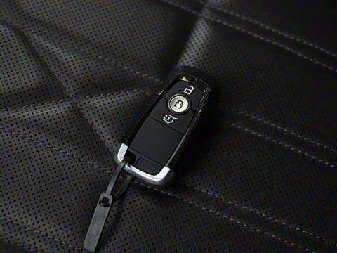 2025�� ���L 2.0T EcoBoost E�춯��������������