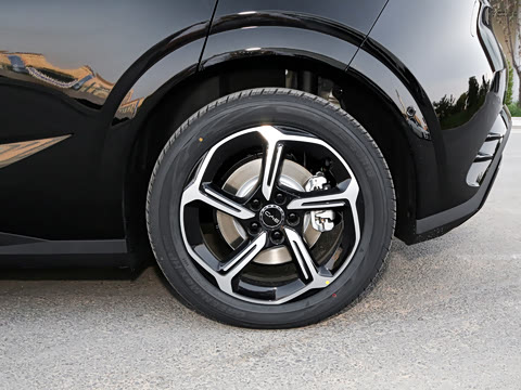 2025�� 505����Plus��