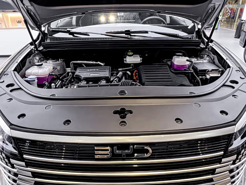 2025�� DM-i 115KM������