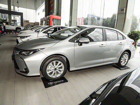 2024�� 1.2T ��Ӣ��