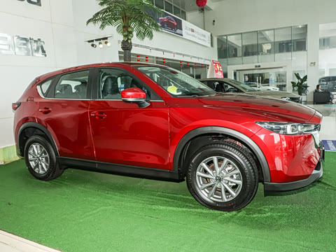 2024�� 2.0L �Զ���������Pro