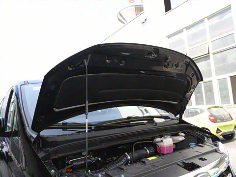 2025�� PLUS 2.0L ��Ӣ��