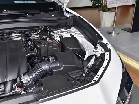 2024�� 2.0L �Զ�������