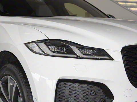 2025�� P250 R-Dynamic SE