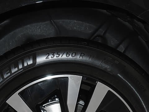 2025�� B5 �������ݺ�����