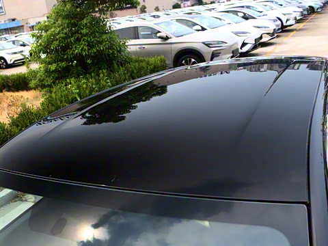 2025�� 305km ������