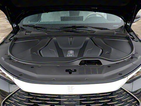 2024�� DM-i ��ҫ�� 112KM �����