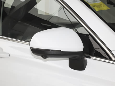 2024�� 520 ��ҫ��