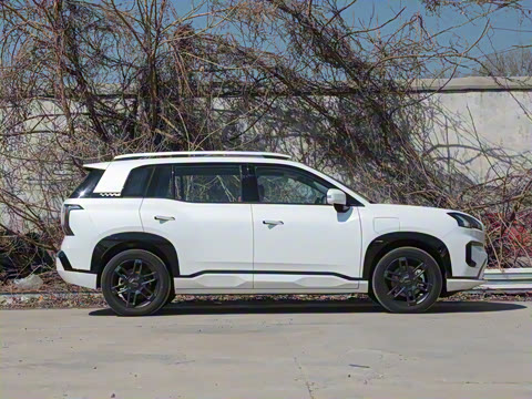 2025�� ���������� 650 ������